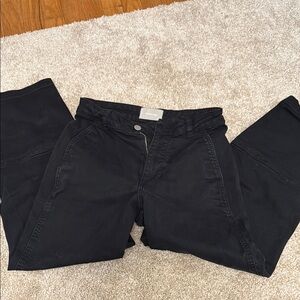 Everlane Black Barrel Pants